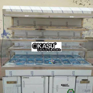 Tủ bảo quản thực phẩm OKASU OKA-13B