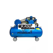 Máy nén khí PEGASUS TM-V-1.05/12.5-500L