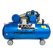 Máy nén khí PEGASUS TM-W-1.0/8-500L