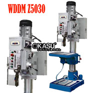 Máy khoan 30mm Z5030