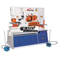 Máy cắt đột chấn liên hợp 100 tấn IW-100S