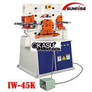 Máy cắt đột đa năng IW-45K