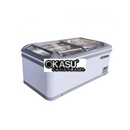 Tủ đông trưng bày cửa kính dạng lùa BJY-IFGD-600L