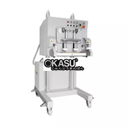 Máy đóng gói hút chân không và thổi khí dạng đứng DZQ-600LD