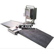 Hệ thống làm sạch bánh xe đẩy tự động DS-200SB-R