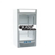 TỦ ĐÔNG ĐỨNG KÍNH IARP – MODEL: ASIA 45 