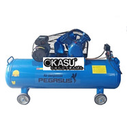 Máy nén khí công nghiệp piston Pegasus TM-V-0.25/12.5-120L