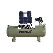 Máy nén khí mini không dầu Pegasus TM-OF1500-70L