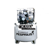 Máy nén khí mini không dầu Pegasus TM-OF550-50L