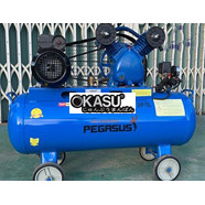 Máy nén khí công nghiệp piston Pegasus TM-V-0.17/8-70L