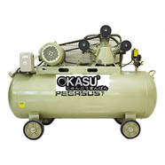 Máy nén khí công nghiệp Pegasus piston TM-V-0.36/8-230L