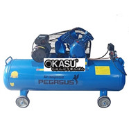 Máy nén khí Pegasus TM-V-0.25/12.5-180L