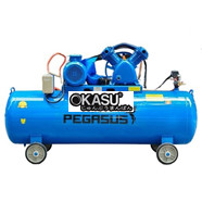 Máy nén khí Pegasus TM-V-0.6/8-330L