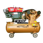 Máy nén khí piston chạy dầu Pegasus TM-W-1.0/8-330L