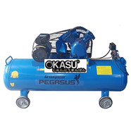 Máy nén khí Pegasus TM-V-0.25/8-180L
