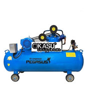 Máy nén khí piston Pegasus TM-V-0.36/8-180L