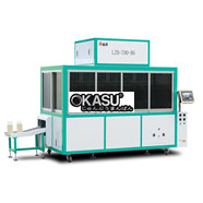 Máy đóng gói chân không hình gạch LZB-600-FR6