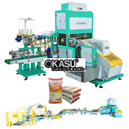Dây chuyền đóng gói gạo túi dệt PP 5-25kg - ZDB-900-Q8