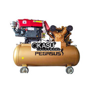 Máy Nén Khí Đầu Nổ Pegasus TM-W-2.0/8-330L