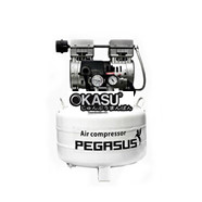 Máy nén khí không dầu Pegasus TM-OF750-40L