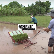 Máy cấy lúa không động cơ mạ sân