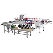 Máy thu hộp tự động (Lắp sau máy dán) TPTD-450A