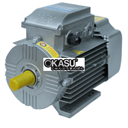 Động Cơ Điện CHESHI 2.2Kw (220V-1500 Vòng/phút) 