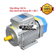 Động cơ motor điện 220V Toàn Phát 1.5Kw 1400v/phút 