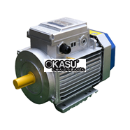 Động cơ motor điện 220V Toàn Phát 2.2Kw 1400v/phút 