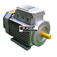 Động cơ motor điện 220V Toàn Phát 3Kw 1400v/phút 