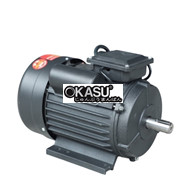 Motor Điện 3.0 kW Huspanda HPC 3000