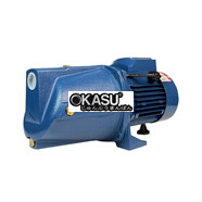 Máy Bơm Nước Chân Không Lead 1000W MJSW/3CL