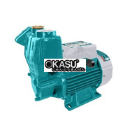 Máy Bơm Nước 750W Total TWP107506