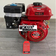 Động Cơ Chạy Xăng 6.5HP Pona PN65 