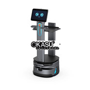 ROBOT KHO AI 2 TẦNG KHAY, VẬN CHUYỂN THÔNG MINH CARRYBOT 2 D150