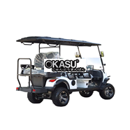 Xe golf chạy điện 48V lithium LQD041+2