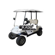 Xe điện kiểu dáng cao 2 chỗ LVTONG LT-A627.2G