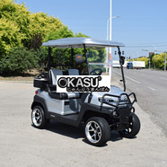 Xe golf 2 chỗ ngồi Z2 màu bạc 