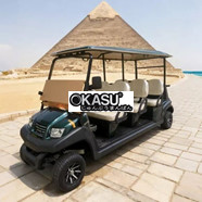 Xe Điện Sân Golf 6 Chỗ Eagle EG206AK