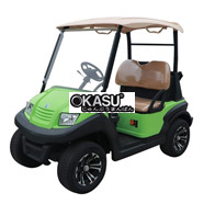 Xe điện sân Golf 2 chỗ EAGLE EG202AK