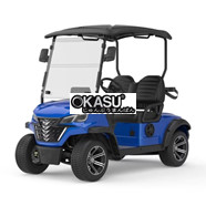 Xe điện sân Golf 2 chỗ CNT G2