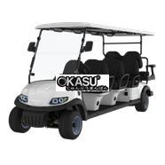 Xe điện chơi golf LQS060A+2  