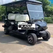 Xe điện chơi golf LQY061A