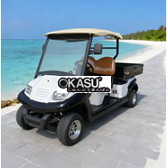 Xe Điện Chở Hàng Eagle EG204AHCX
