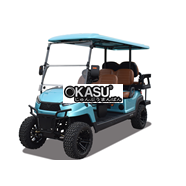 Xe golf đa dụng 6 chỗ R4C