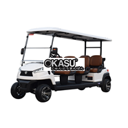 Xe golf đa dụng 6 chỗ ngồi R6