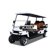 Xe golf chạy điện 8 chỗ R6C