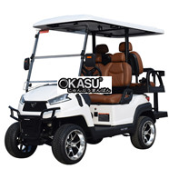 Xe golf đa dụng 4 chỗ ngồi E2C màu xám