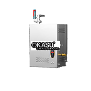 Máy tạo hơi nước treo tường CHINENG CN-DC-B-RZQ-50T