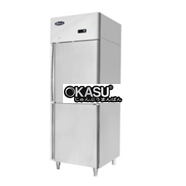 Tủ đông 2 cánh YBL9311